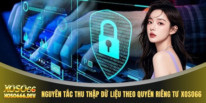 Quyền riêng tư XOSO66 1 Nguyên tắc thu thập dữ liệu theo quyền riêng tư XOSO66